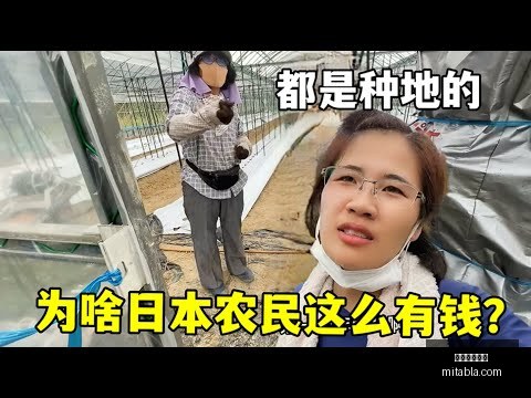 范迪克恢复,良好,有望早日重,星空体育官网,星空体育App,星空体育直播,星空体育平台,星空体育入口