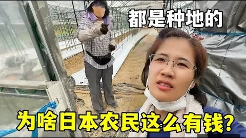 范迪克恢复良好，星空体育平台，，有望早日重返利物浦防线